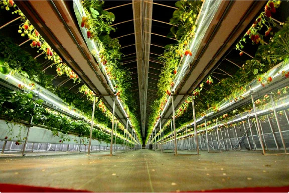 光に包まれる夜