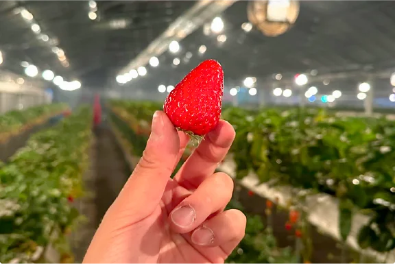 写真に残る美しさ